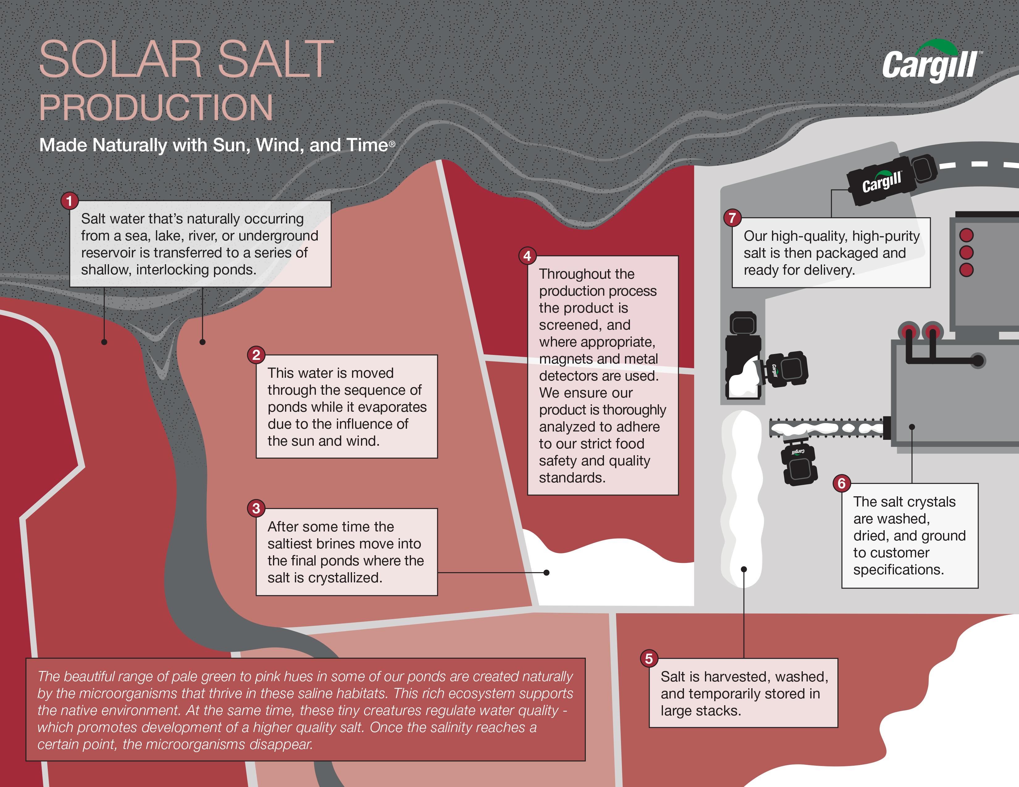 Solar Salt Production Infographic